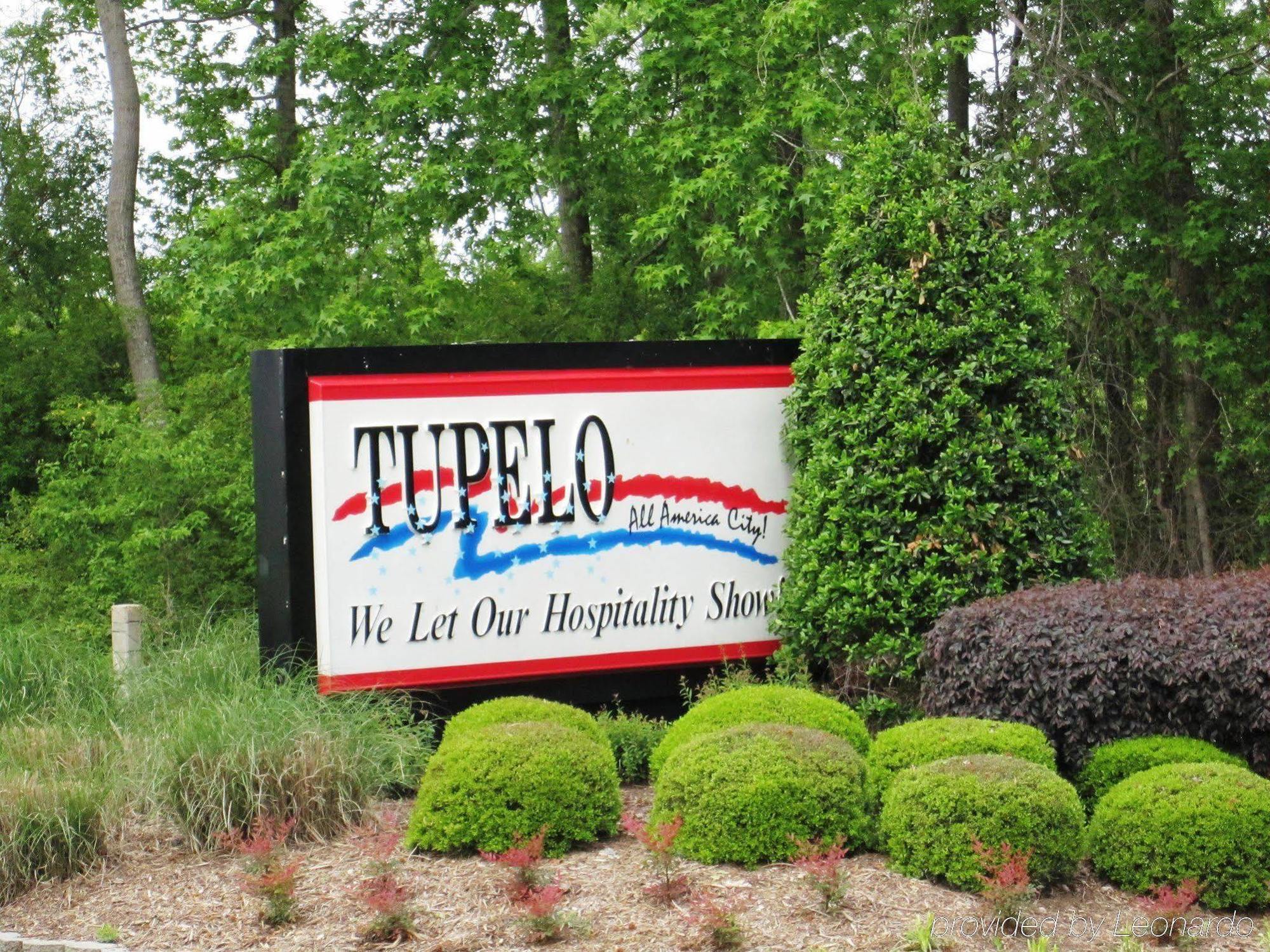 Hampton Inn & Suites Tupelo/Barnes Crossing Экстерьер фото